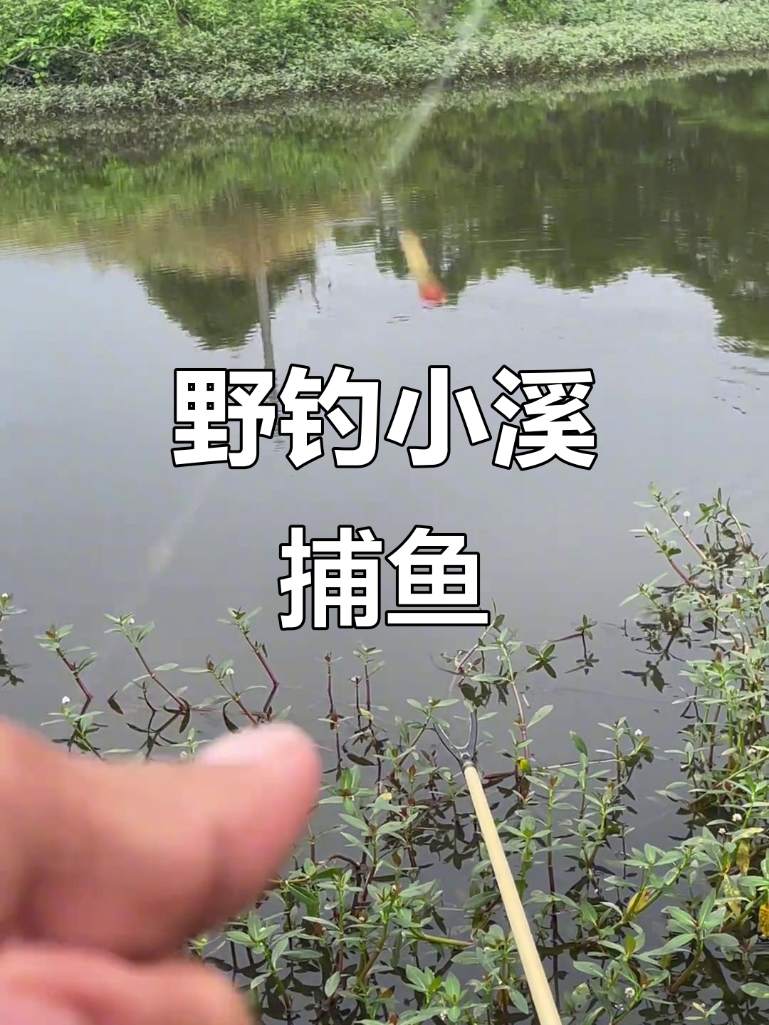 秋季河沟钓鱼技巧(秋季河沟钓鱼技巧图解)