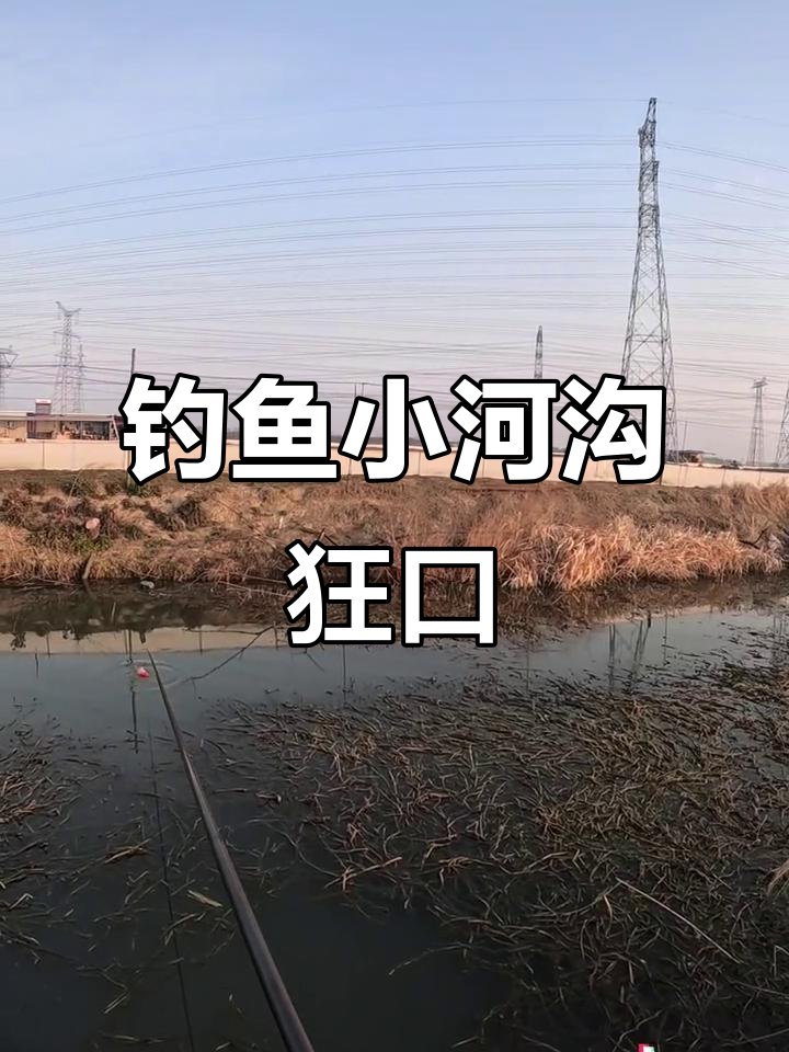 秋季河沟钓鱼技巧(秋季河沟钓鱼技巧图解)