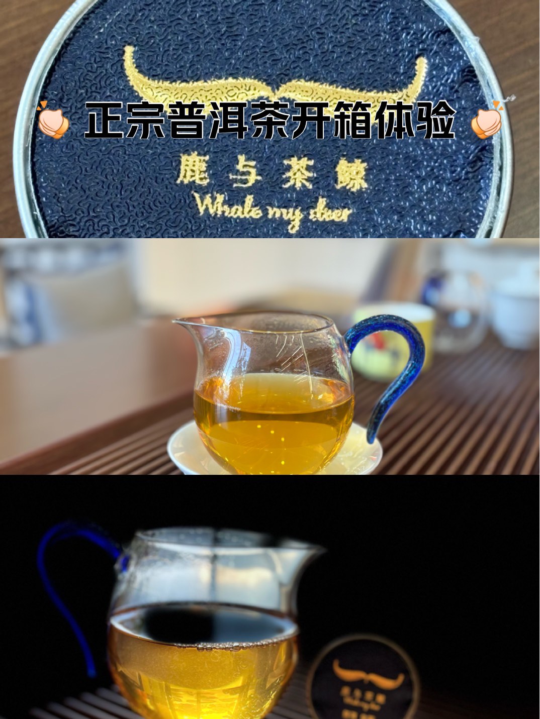鲸泡饵料(钓鲸鱼用什么饵料)