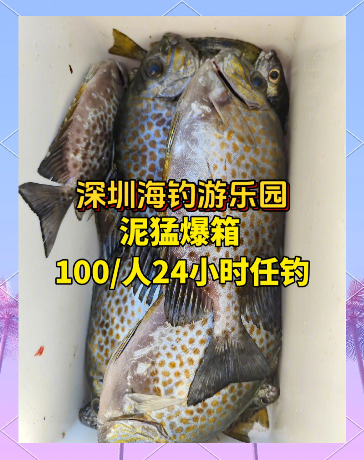 海钓涨潮没有鱼(海钓涨潮钓鱼好还是退潮好)