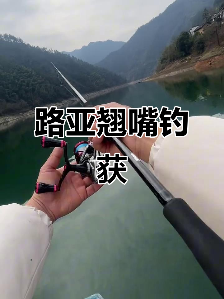 四月阴天钓鱼技巧(四月阴天钓鱼技巧图解)