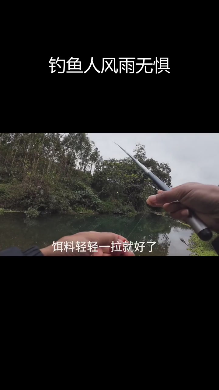 四月阴天钓鱼技巧(四月阴天钓鱼技巧图解)