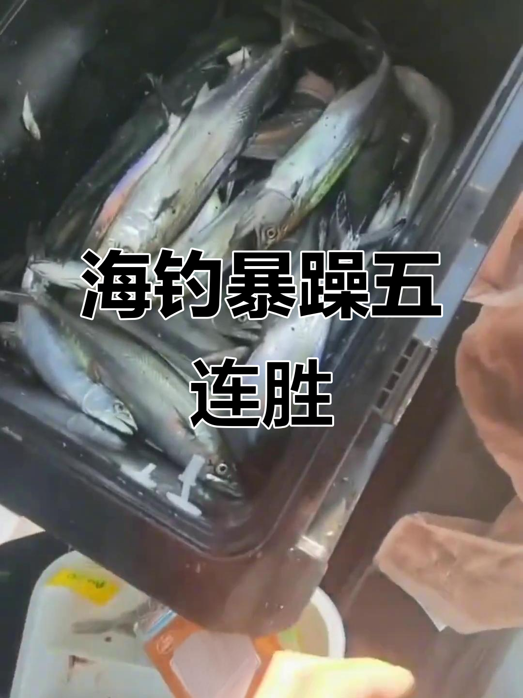 曹妃甸矿石码头海钓(曹妃甸矿石码头怎么样)