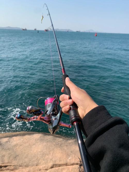 上海钓鱿鱼的地方(上海钓鱿鱼的地方叫什么)