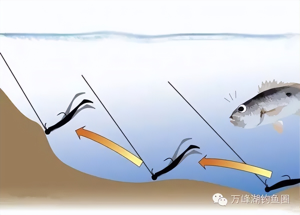 路亚钓的技巧视频(路亚如何钓鱼视频)