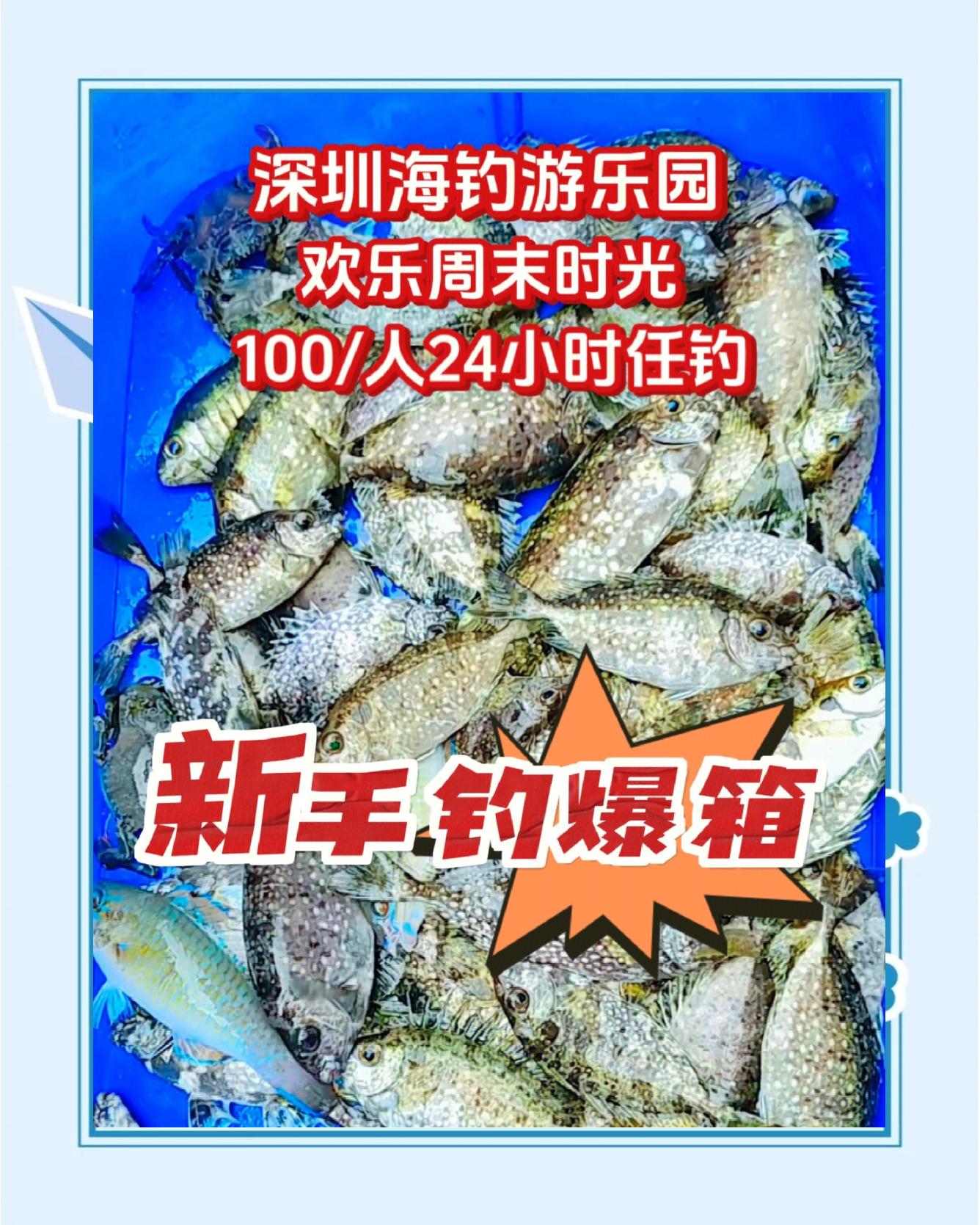 深圳海钓软件(深圳海钓吧深圳钓鱼网)