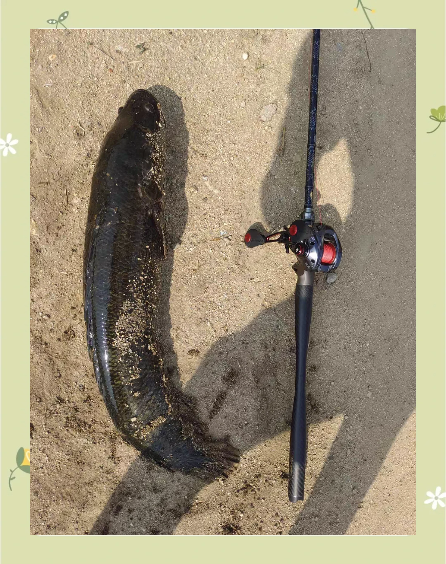 矾钓海钓黑鱼方法(矾钩与海钩区别)