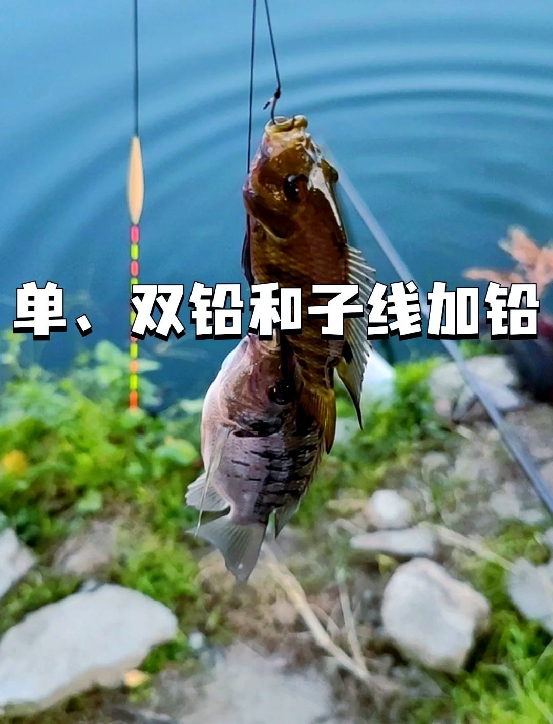 洞口钓鱼技巧(洞口钓鱼技巧和方法)