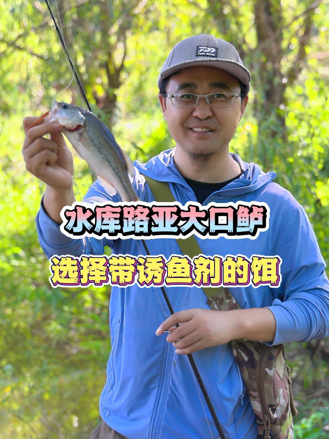 山东水库路亚钓什么鱼(山东路亚资源最好的地方)
