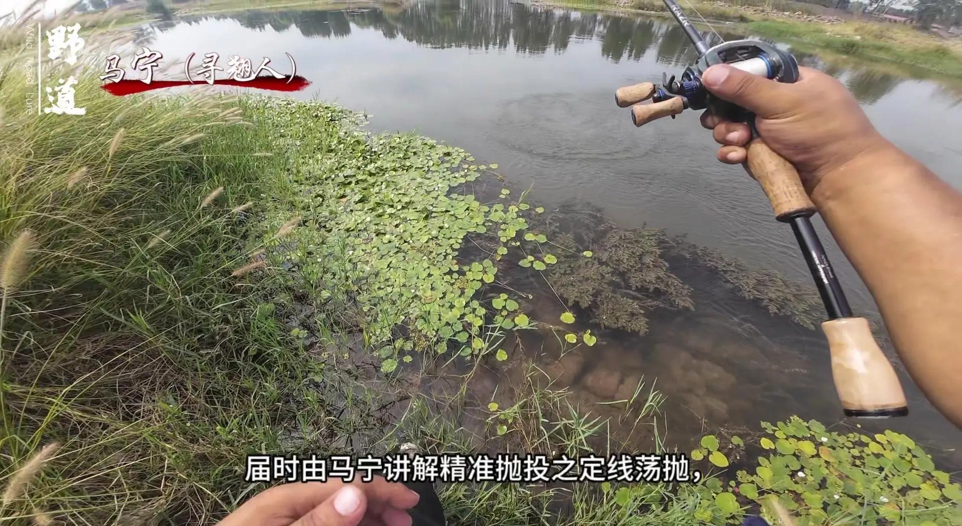 荆州路亚qq群(长江荆州段可以路亚吗)