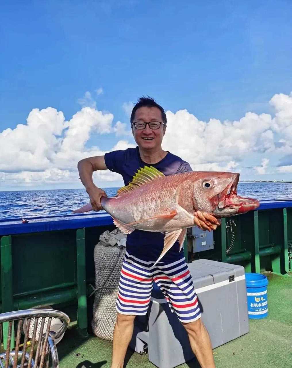 海钓鱼的品类(海钓鱼都有哪些)