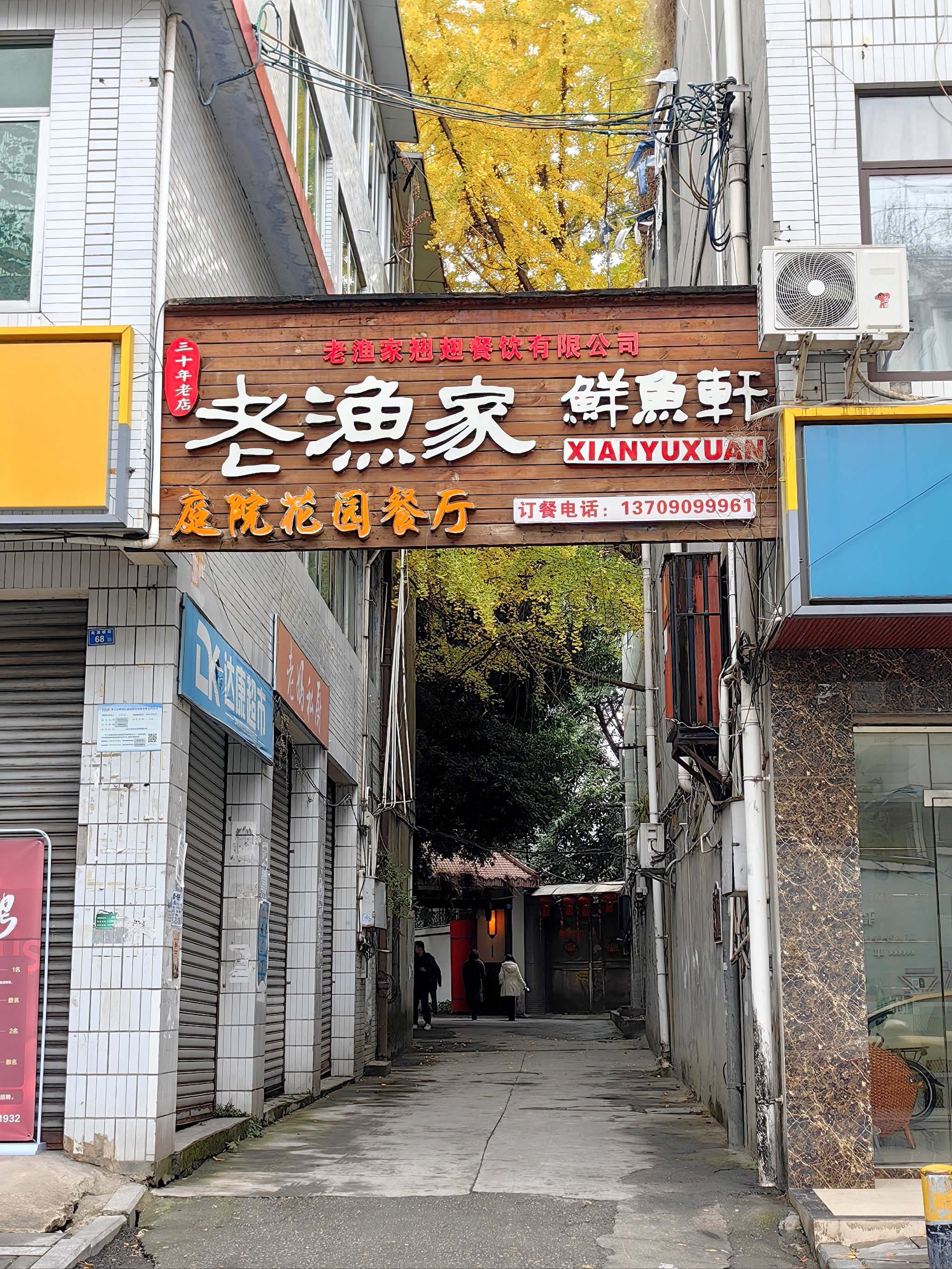 温江哪里可以租渔具(温江最便宜的观赏鱼市场)
