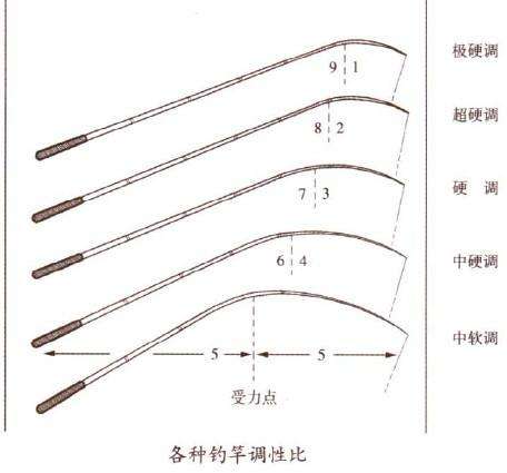 新手选择路亚调性(路亚调性有什么用)