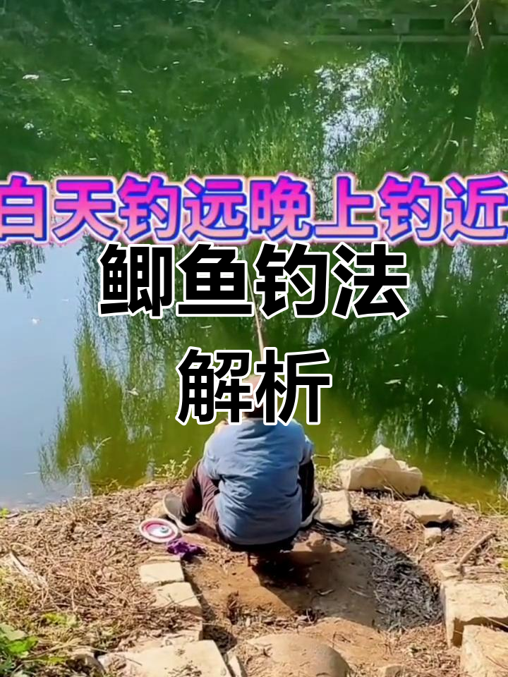 秋季阴天钩鱼技巧(秋季阴天钓鱼技巧)