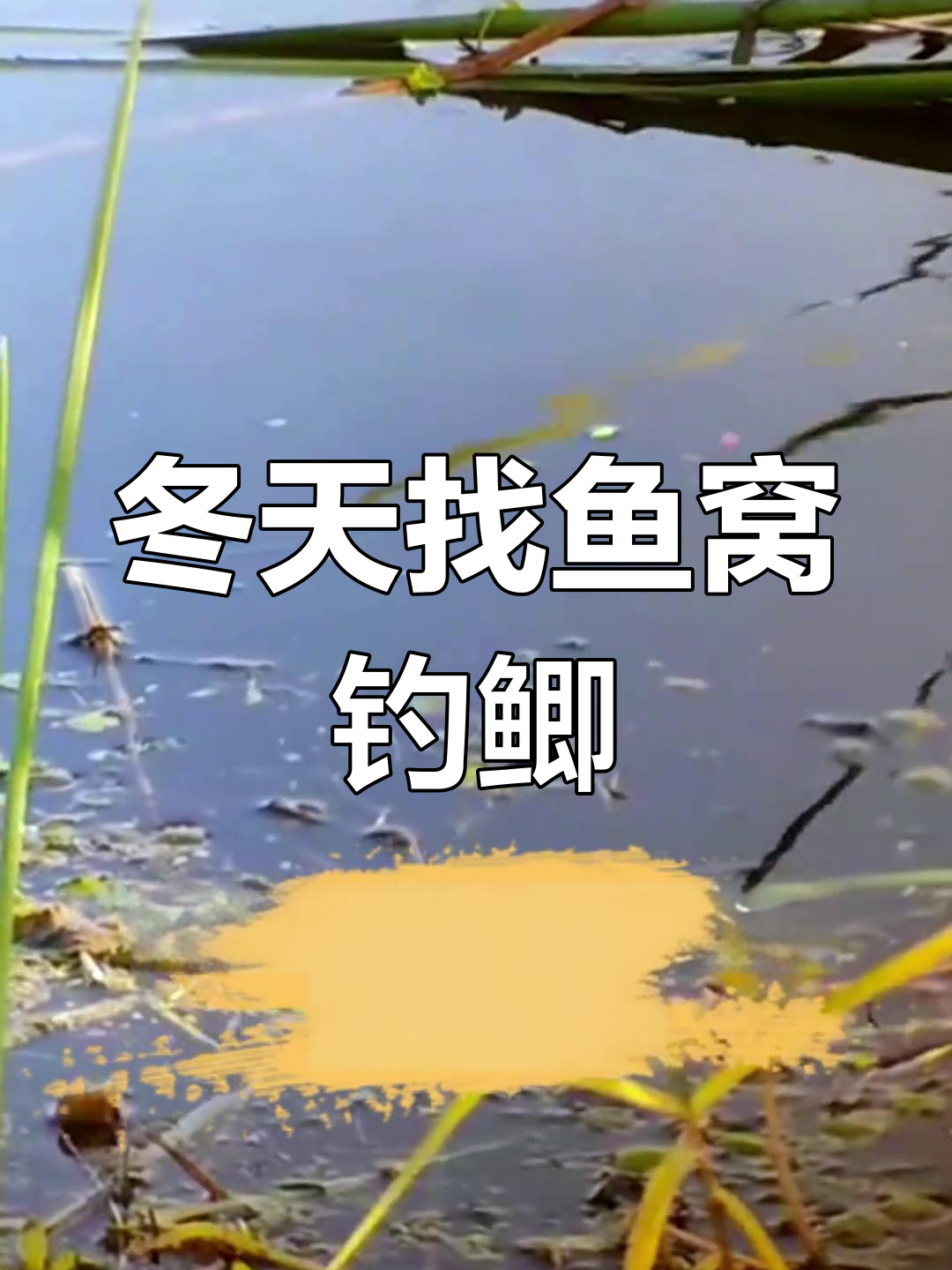 冬钓找鱼技巧(冬季野钓如何找钓位)