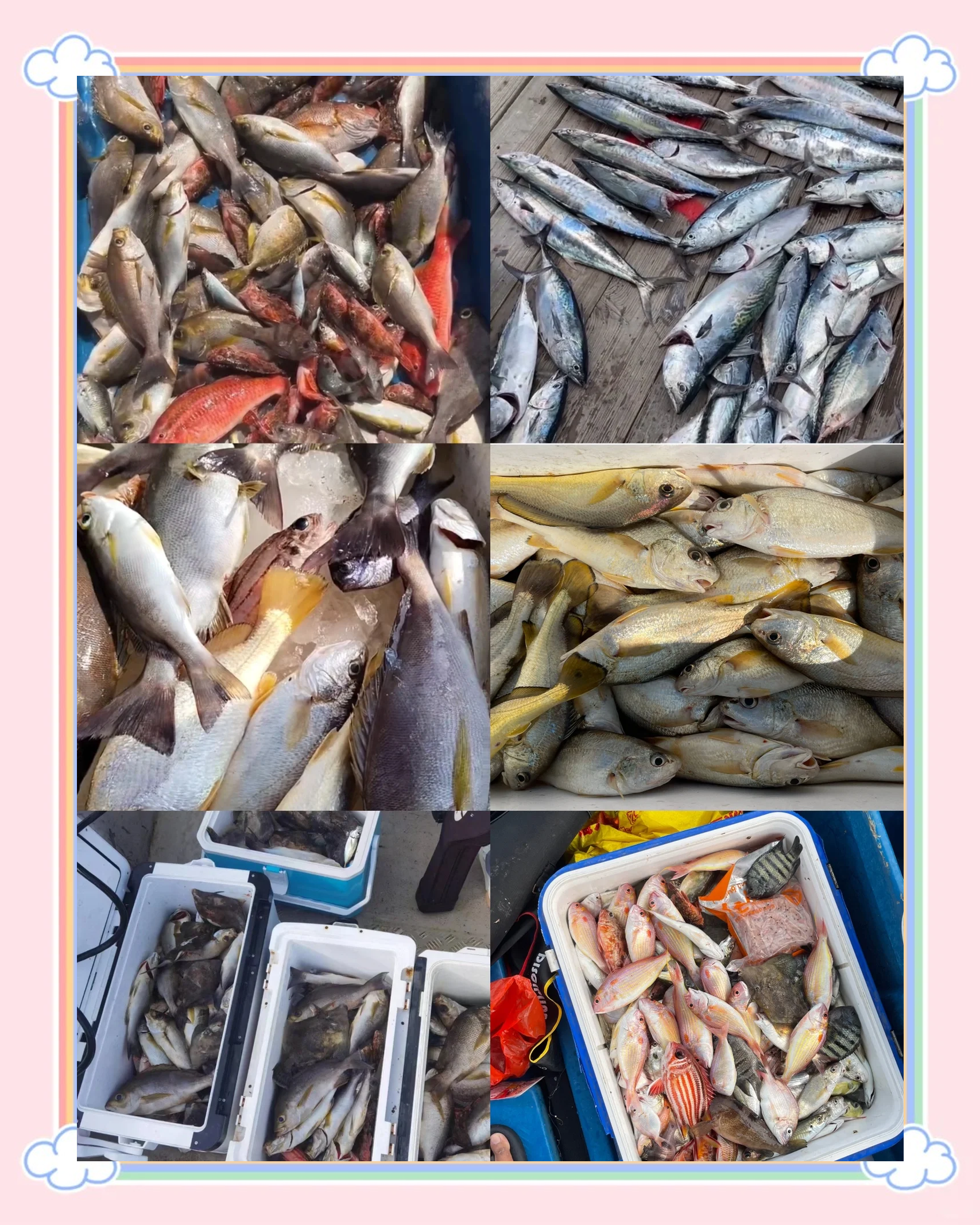 惠阳附近海钓(惠阳附近野钓地点)