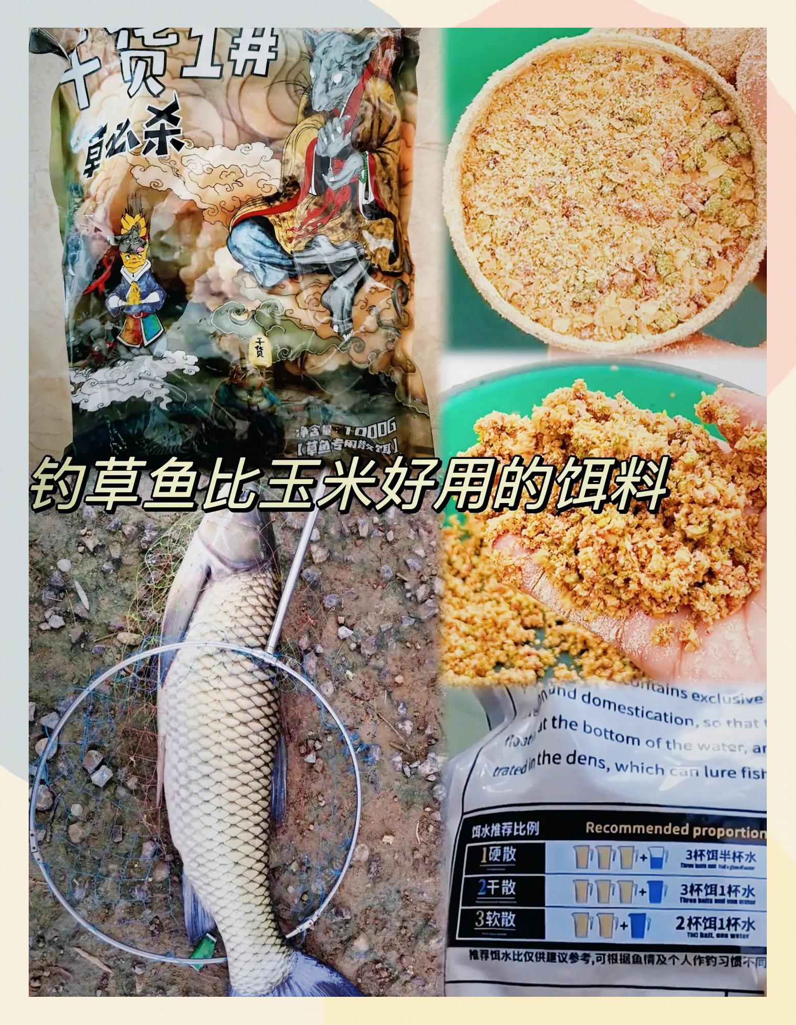 自制青草与饵料(自制青草与饵料的比例)