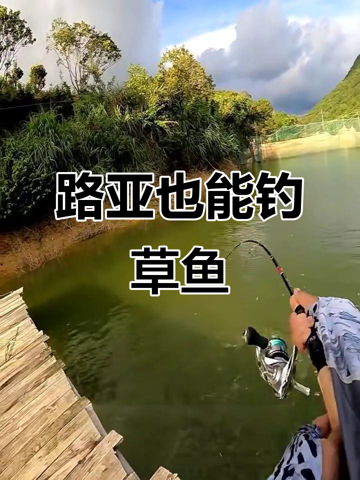 怎样用路亚钓草鱼(路亚草鱼钓法)