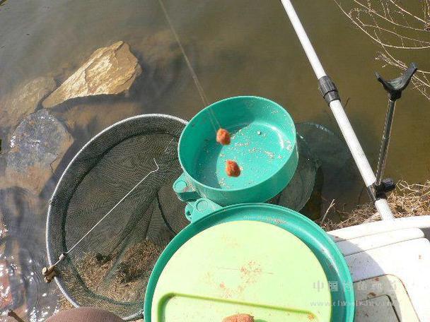饵料入水溶化(饵料在水中化的快怎么办)
