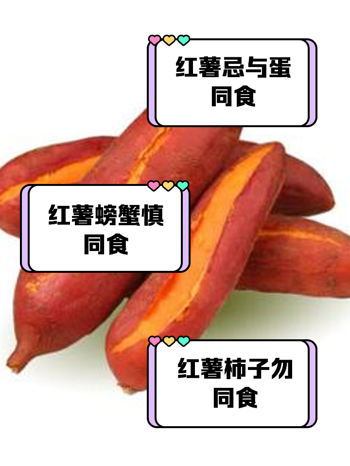 冬季红薯钓饵料配方(冬季红薯打窝钓鲫鱼多久可以钓)