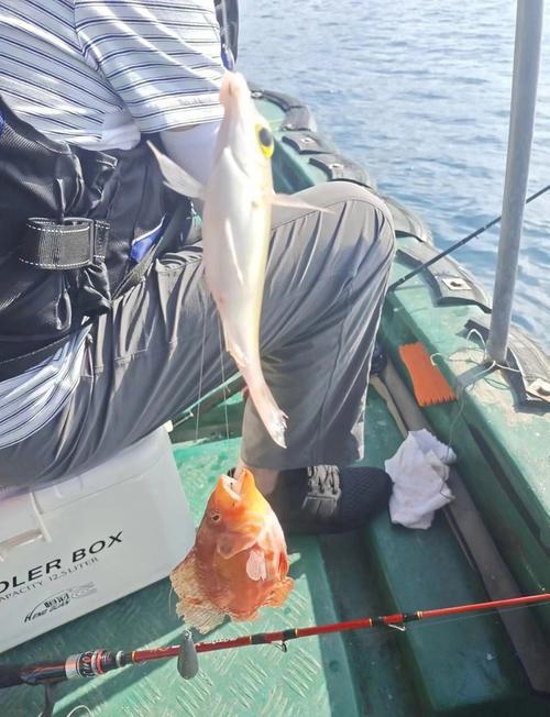 海钓记录最大的鱼(海钓最长多少米)