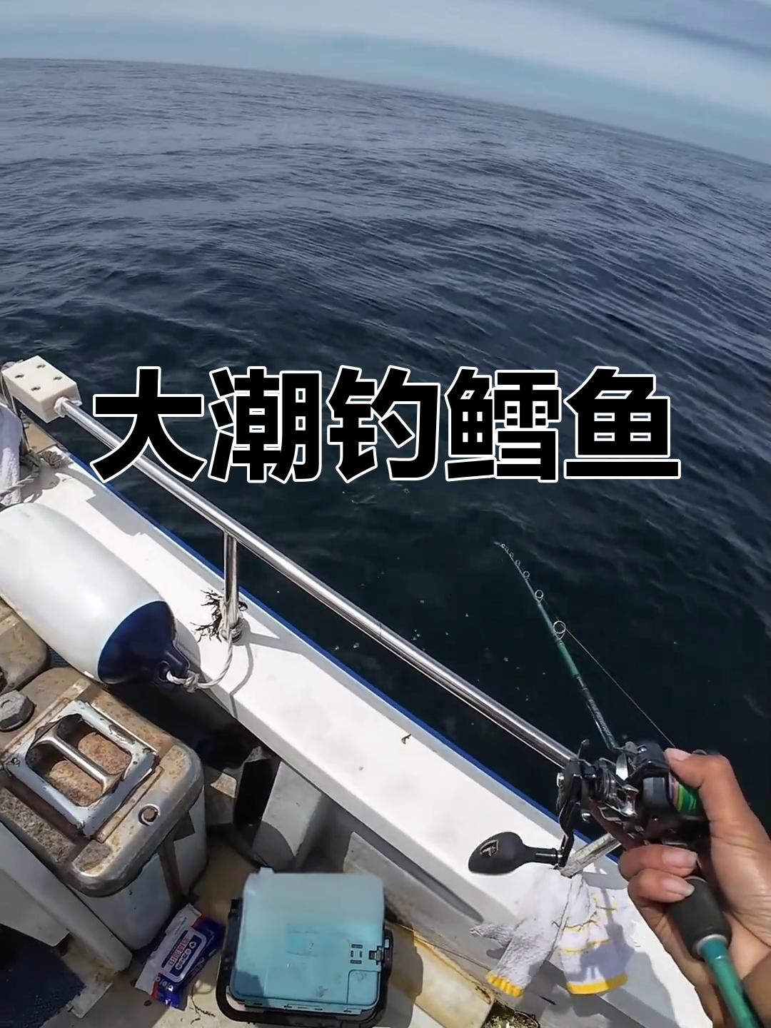 威海钓鳕鱼(威海钓鳕鱼的最佳季节)