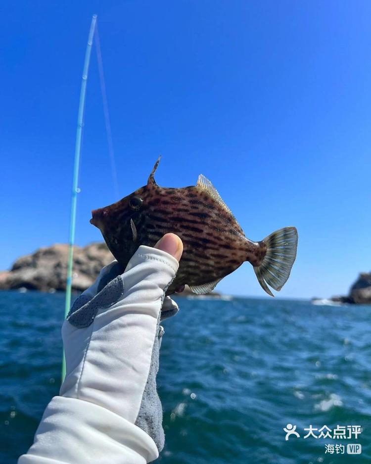 海钓app(一起海钓app)