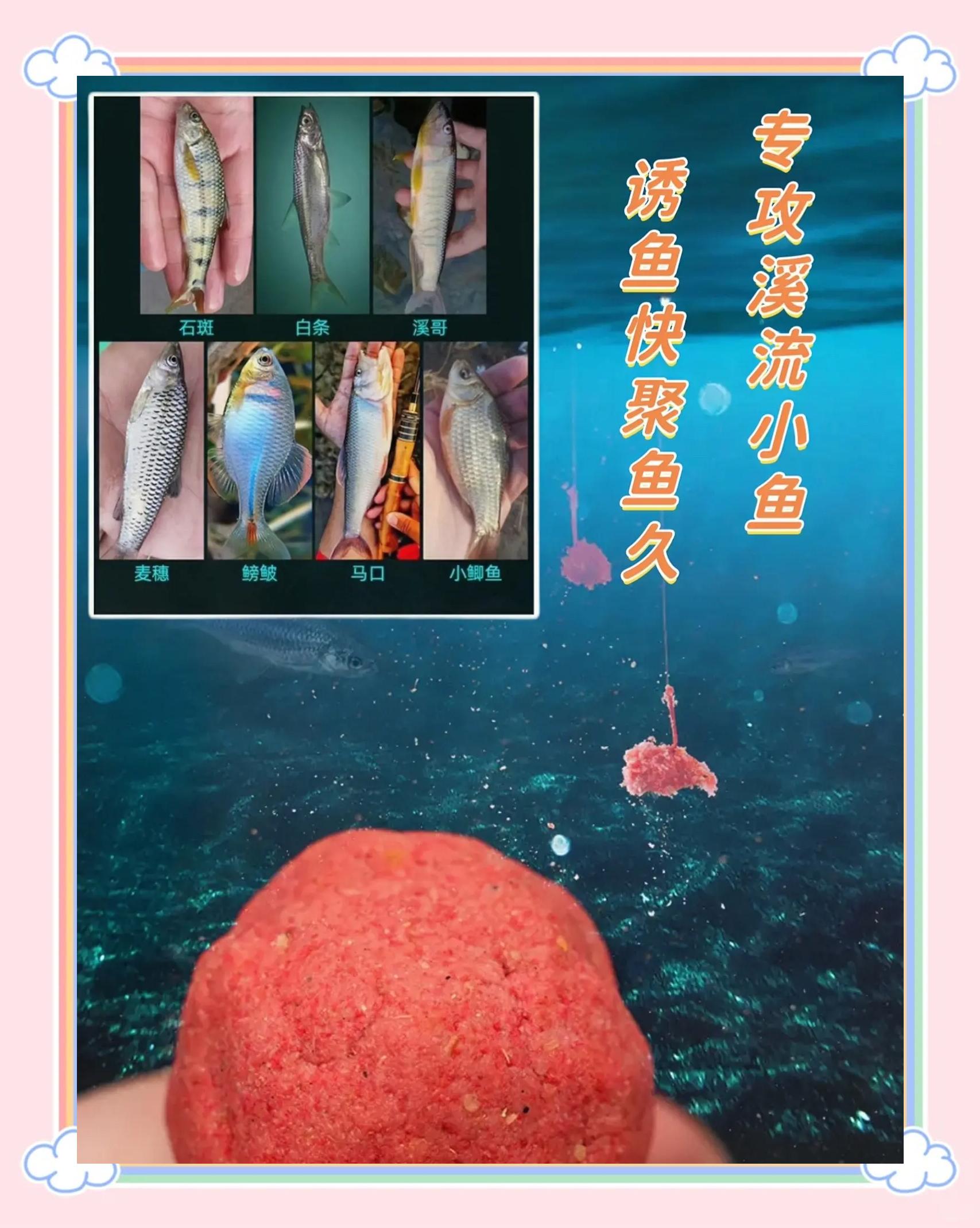 丸久饵料官网(丸九饵料到底怎么样)