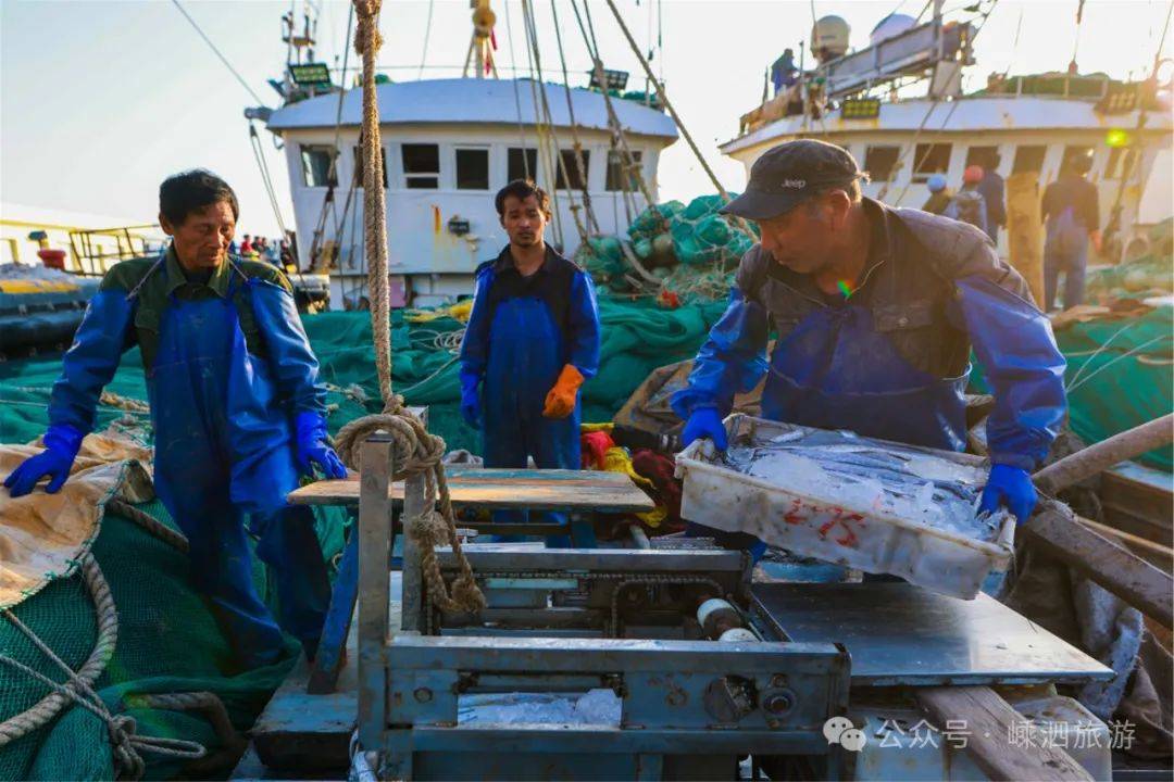 沾化港出海钓鱼(黄骅港出海游船价格)