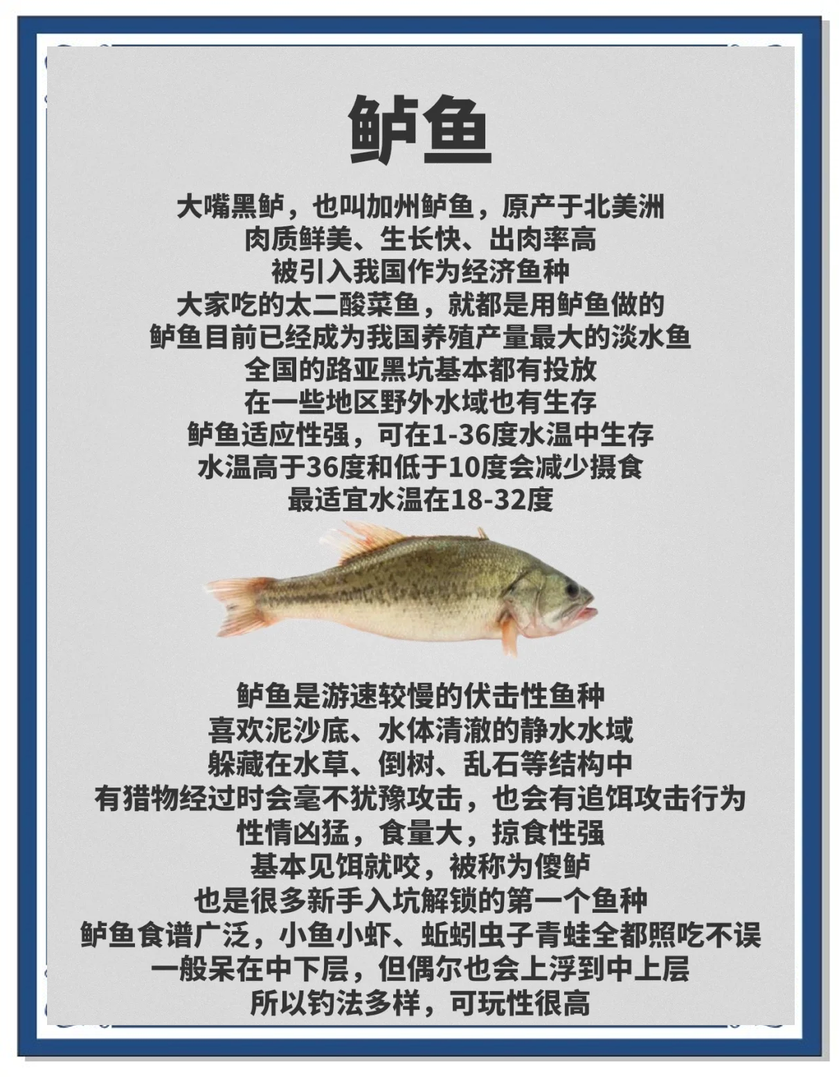 路亚水深要求(路亚选择什么水位)