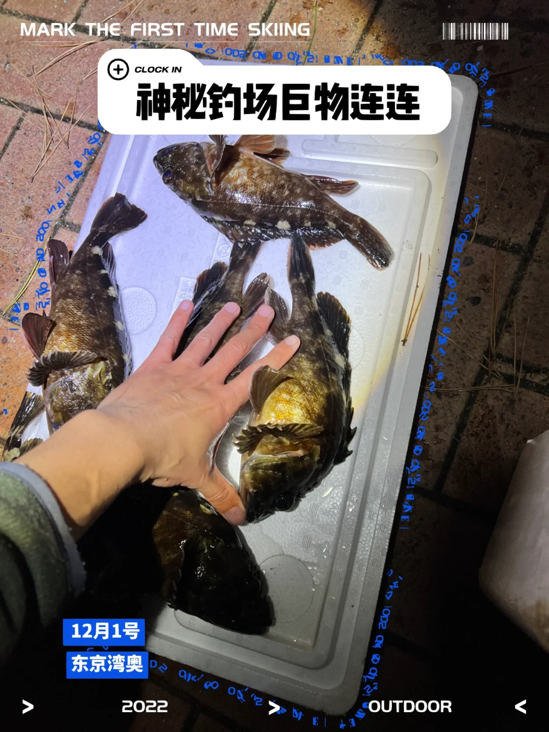 海钓鲈鱼沉底还是浮钓(浮钓海鲈鱼钓多深?)