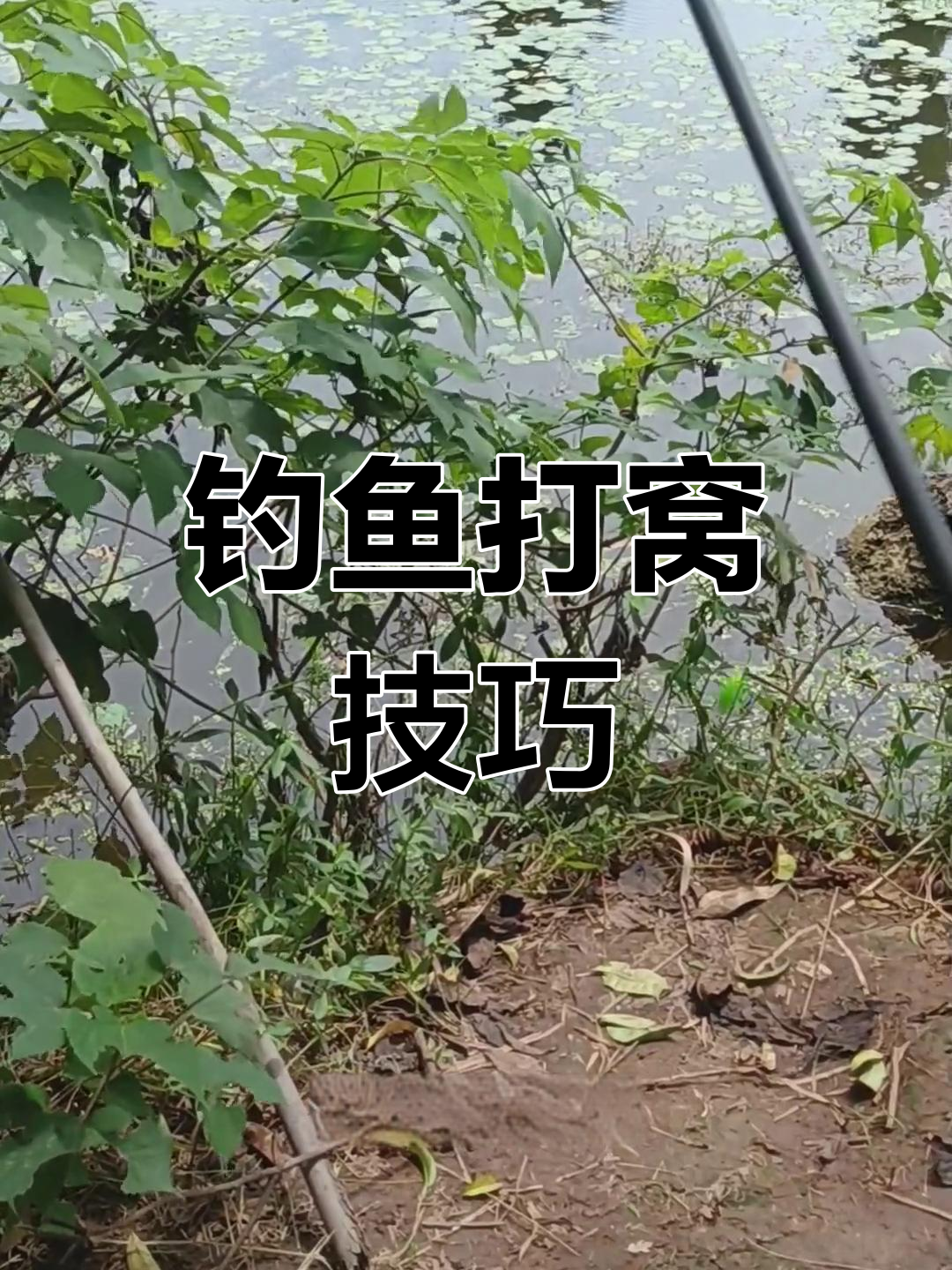 冬季台钓打窝技巧(冬天台钓)