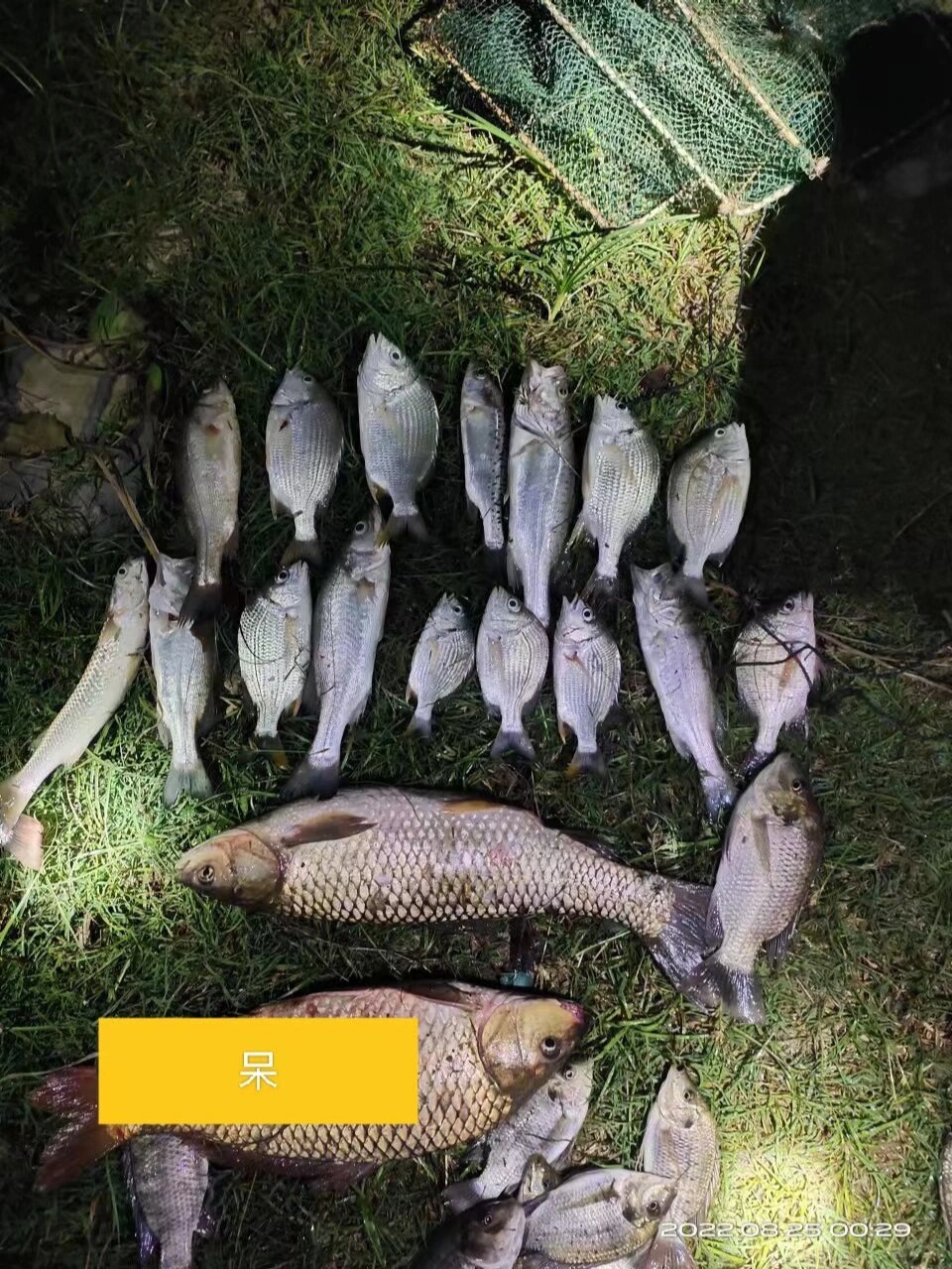 北海钓鱼地点推荐(北海哪能钓鱼)