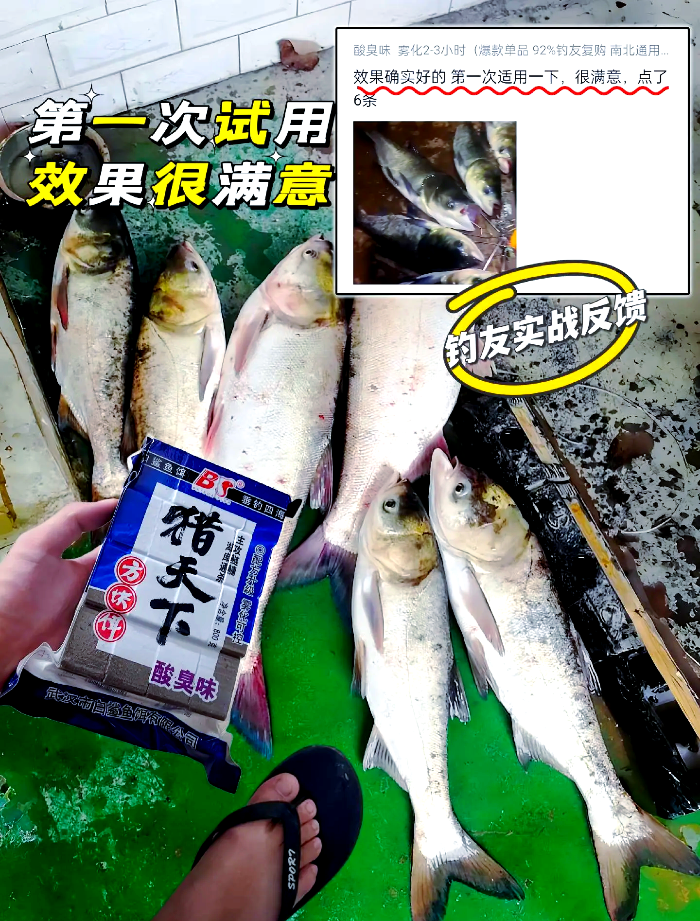 夏季钓鲢鳙饵料(夏季钓鲢鳙饵料味型)