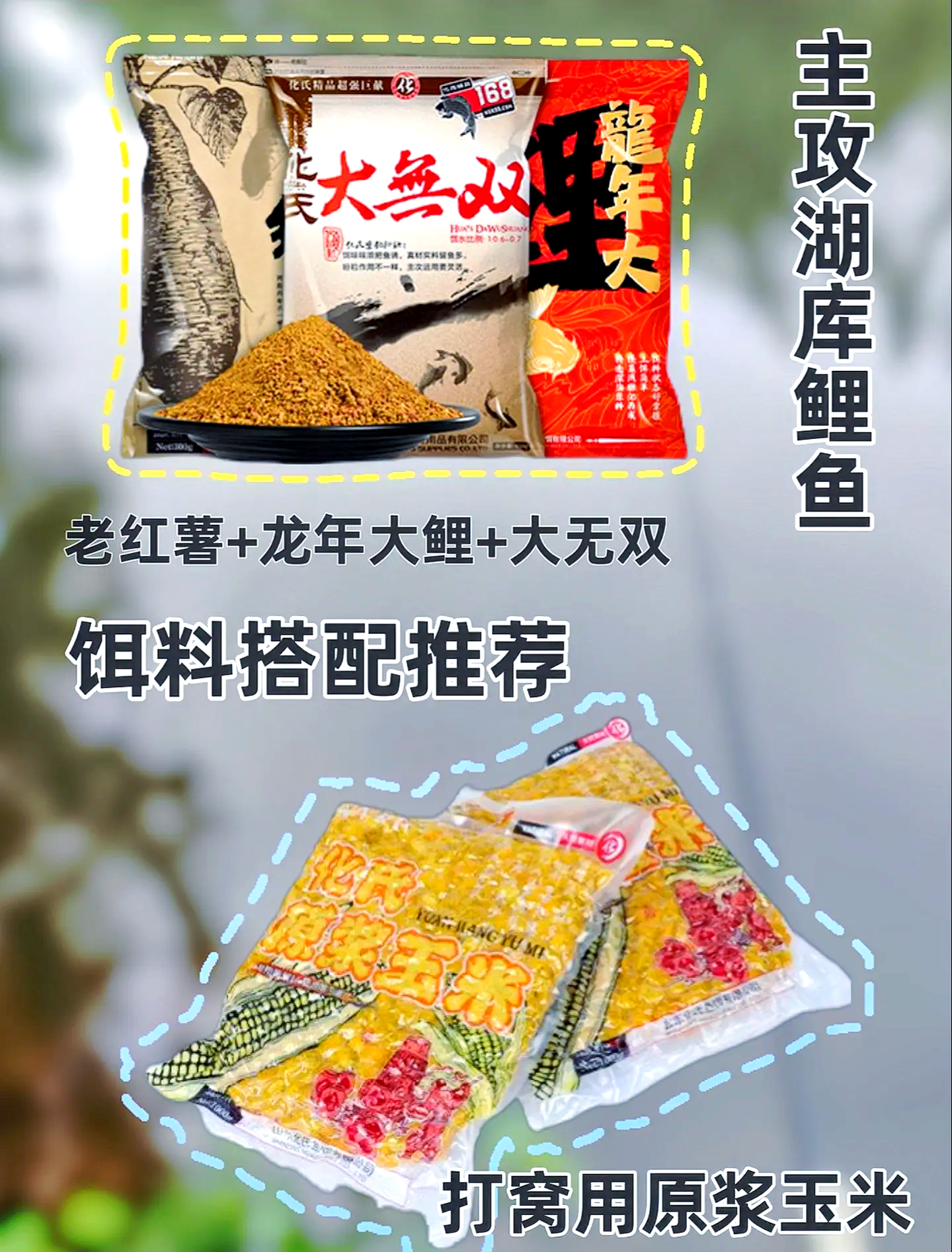 怎样搭配饵料钓鲤鱼饵料(野钓鲤鱼配饵)