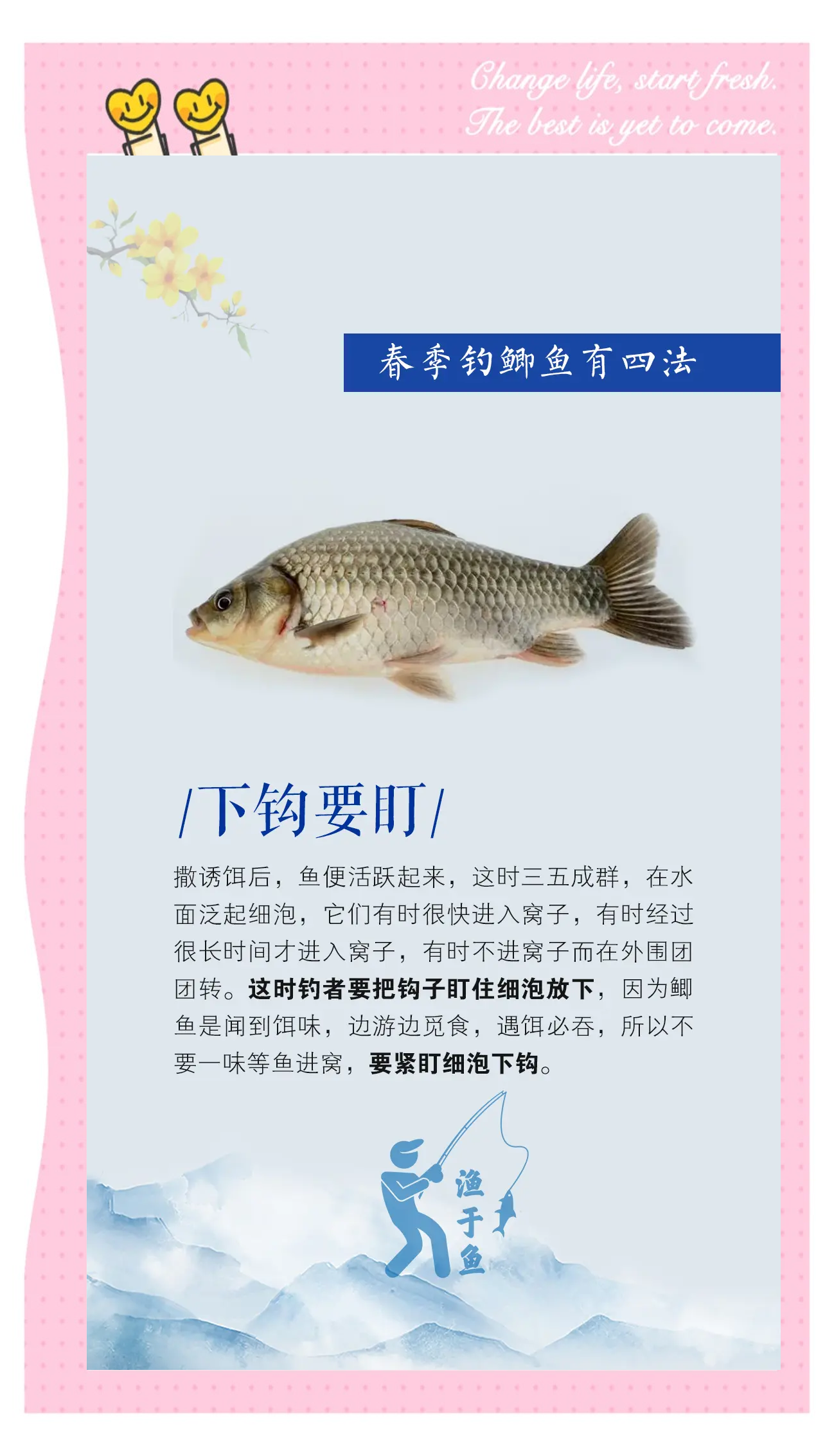 小鲫鱼钓鱼技巧视频教程(钓小鲫鱼怎么搭配线和勾)