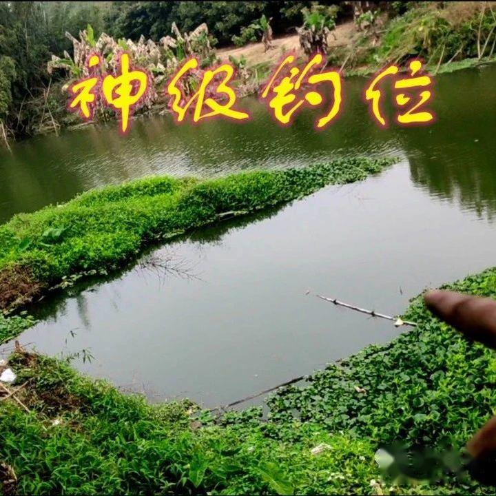 春末钓鱼打窝技巧(春季野钓打窝技巧)