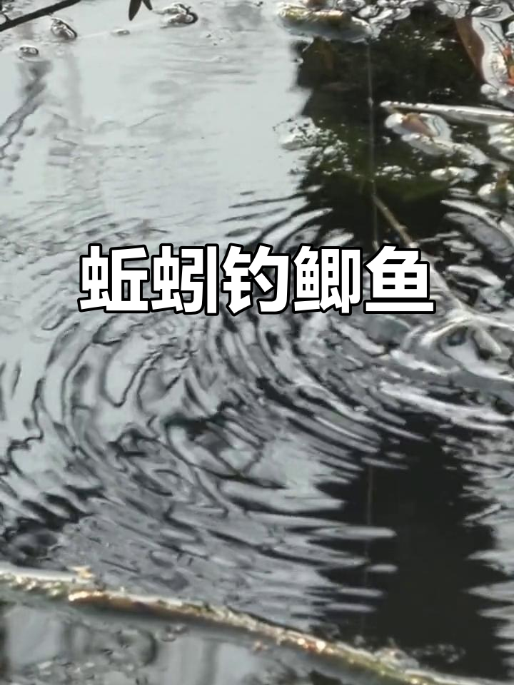 蚯蚓粉水库钓鱼技巧(蚯蚓粉打窝效果好吗)