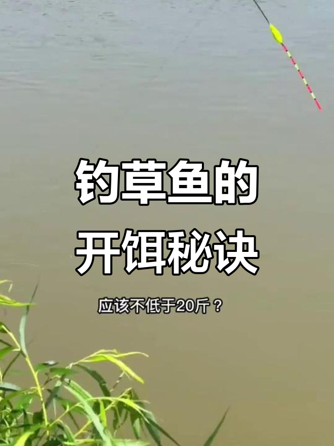 水库野钓钓鱼技巧大全(水库野钓钓鱼技巧大全图解)