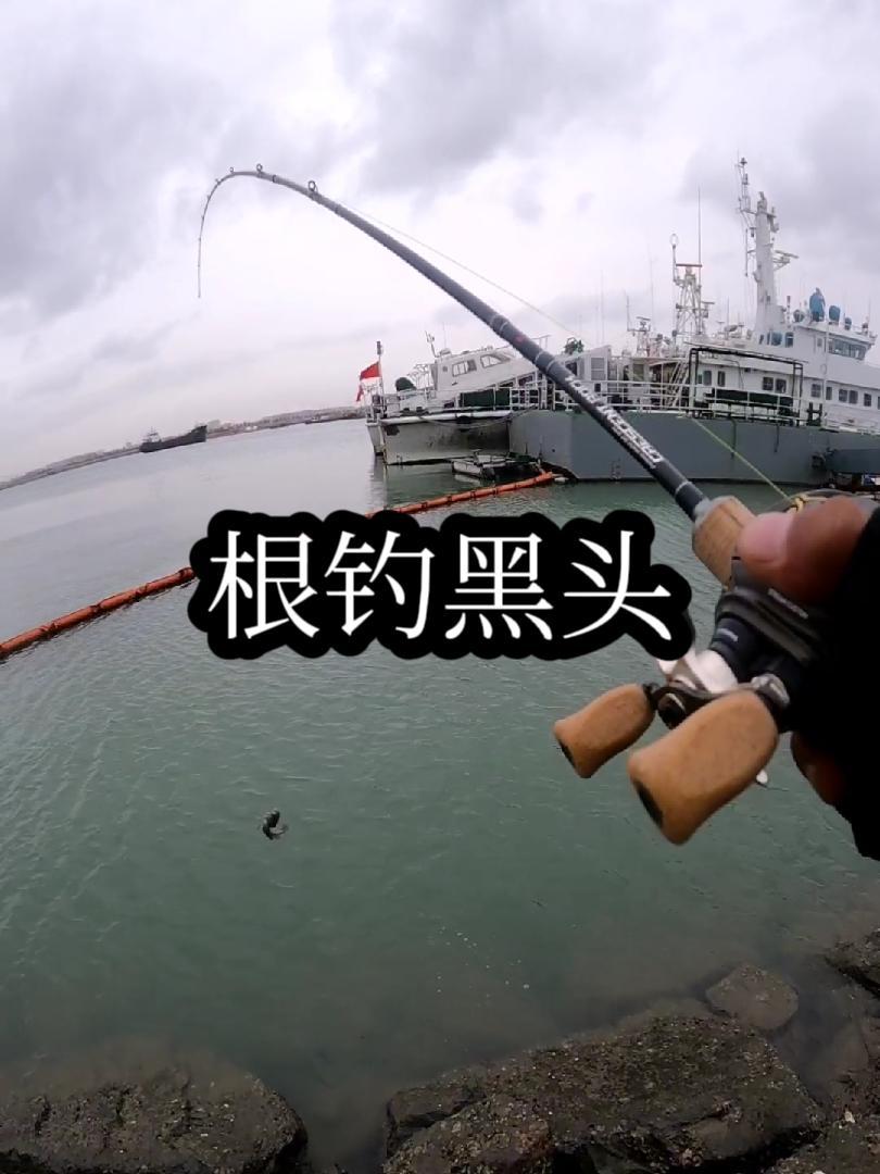 路亚船上根钓(路亚根钓什么意思)