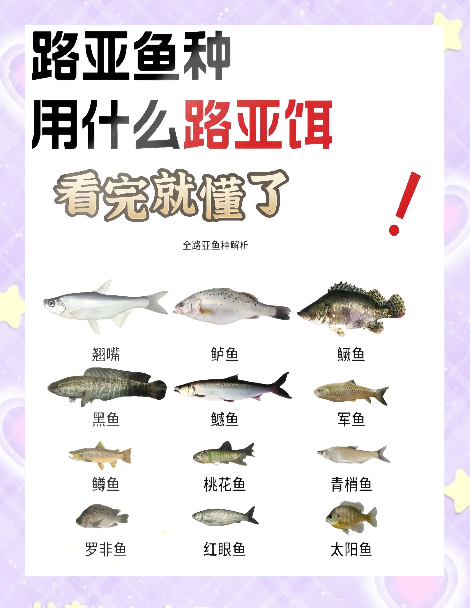 今天路亚价格(路亚竿涨价)