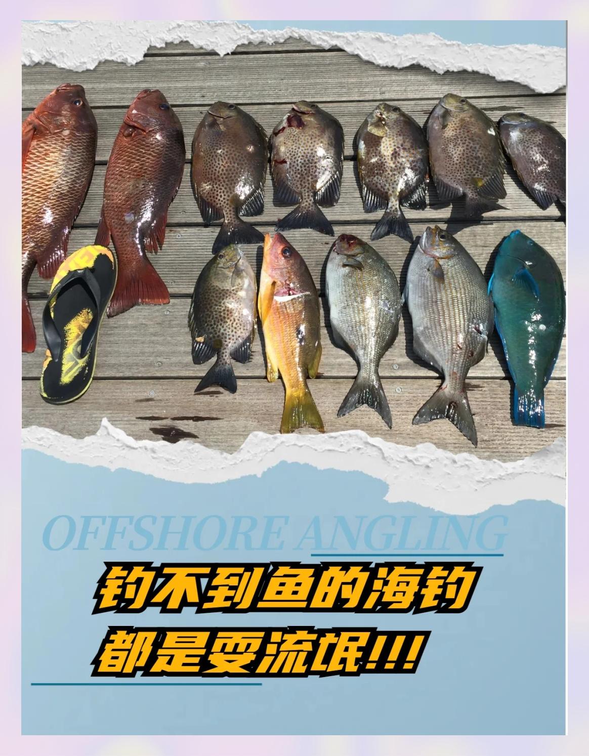 海南岛免费海钓(海南岛海钓鱼品种)