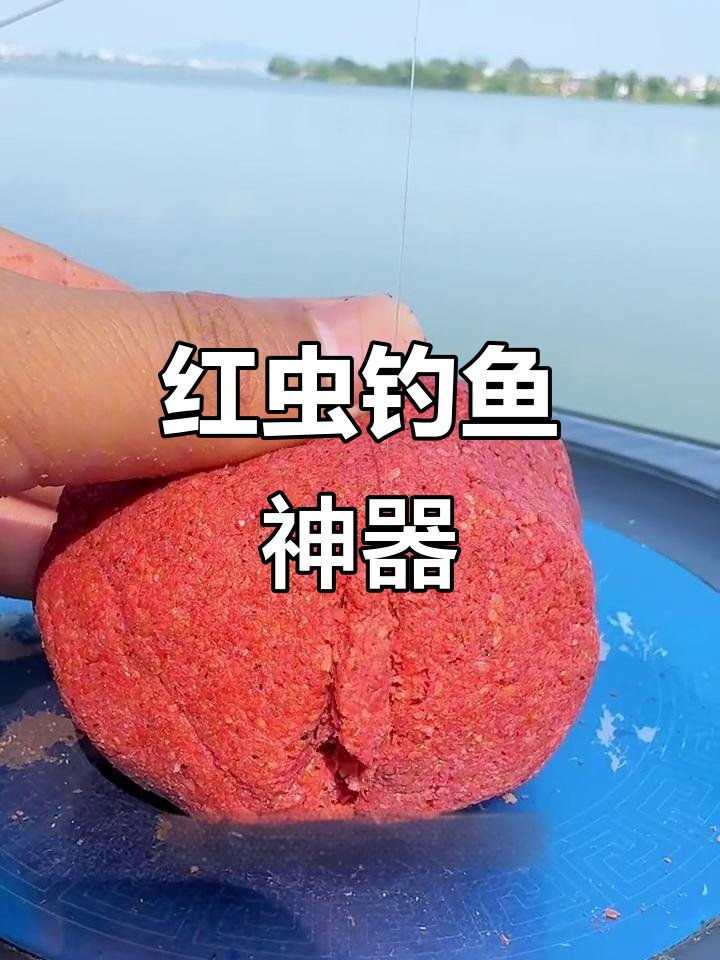 红虫垂钓鲫鱼技巧(红虫钓鲫鱼饵料配方)