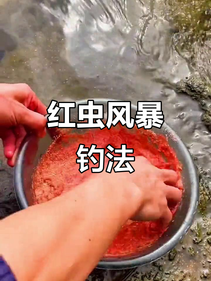红虫风暴饵料测评(红虫风暴饵料测评结果)