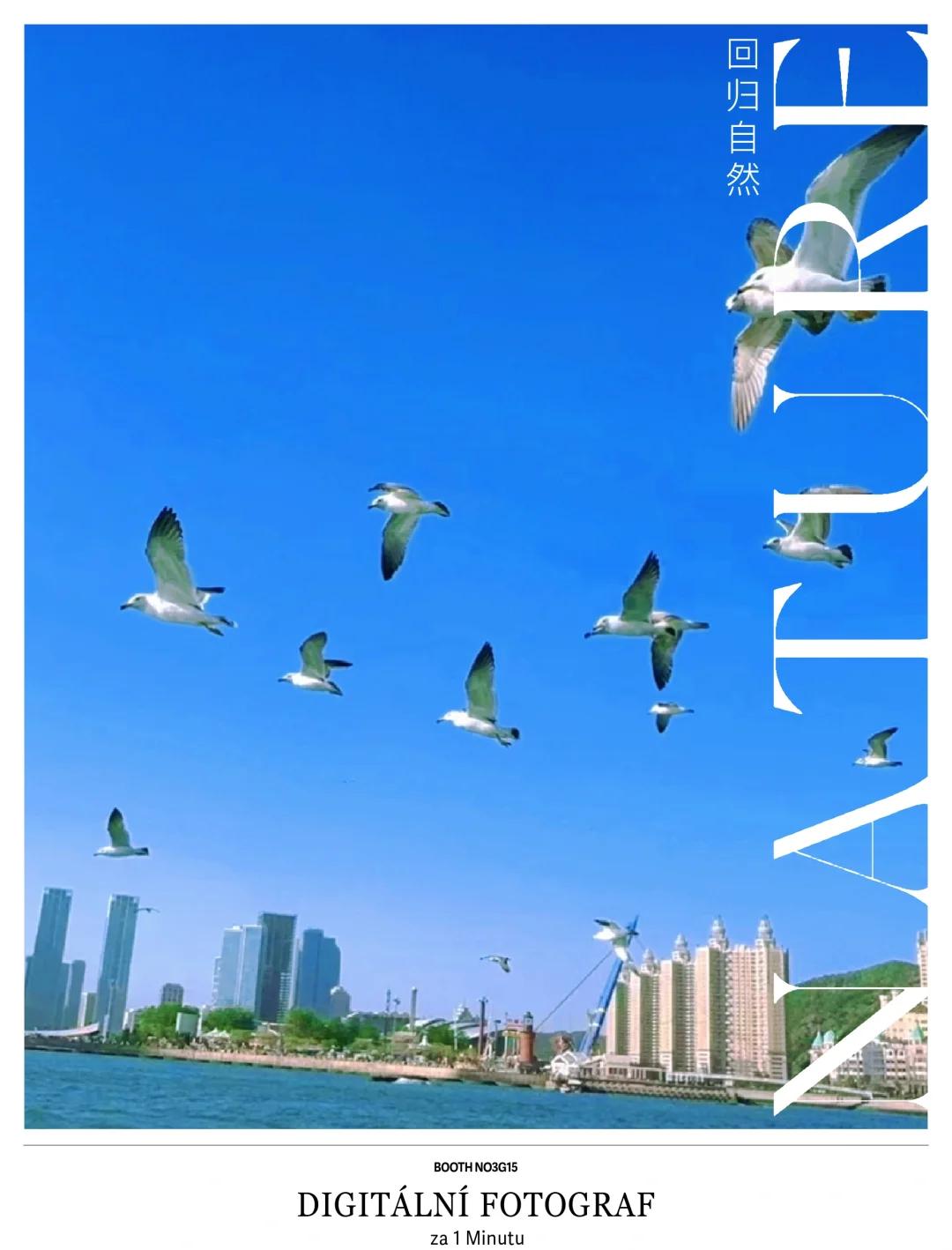 辽宁五一能海钓么(辽宁海钓好去处)