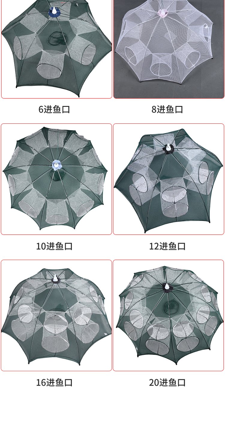 伞形网鱼技巧(伞形鱼笼的使用方法)