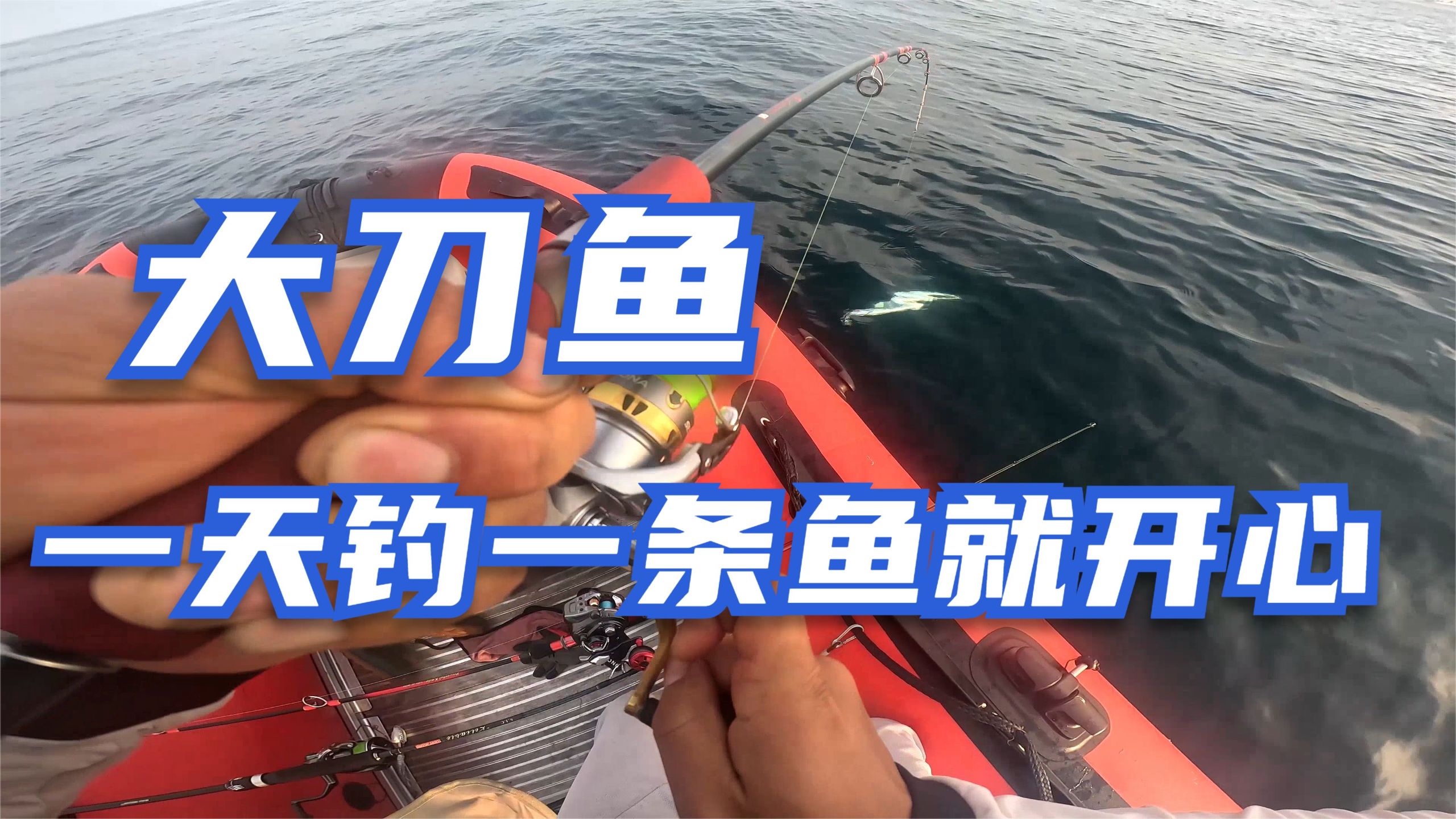 钓刀鱼技巧(钓刀鱼用什么钓组)