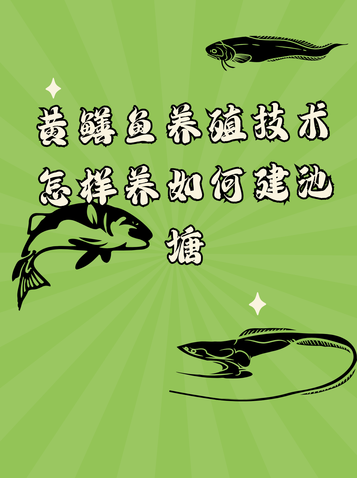 黄鳝技巧(解剖黄鳝技巧)