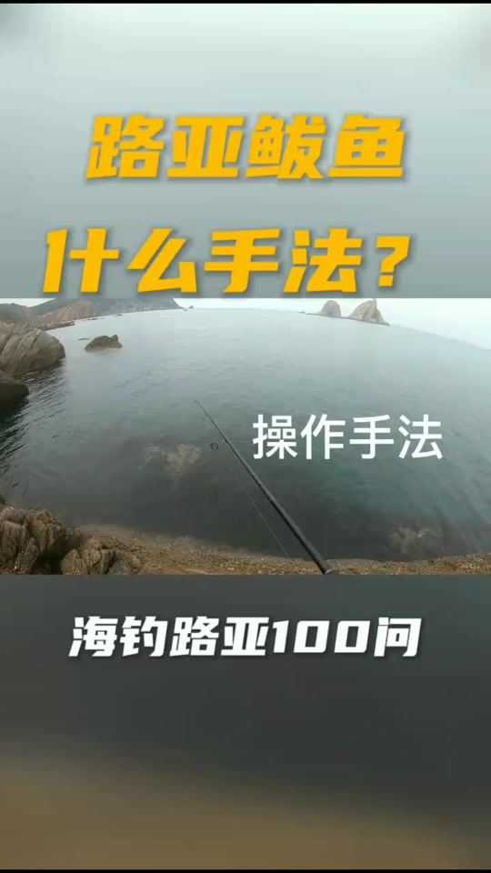 秦皇岛路亚鲅鱼价格(鲅鱼价格今日价)