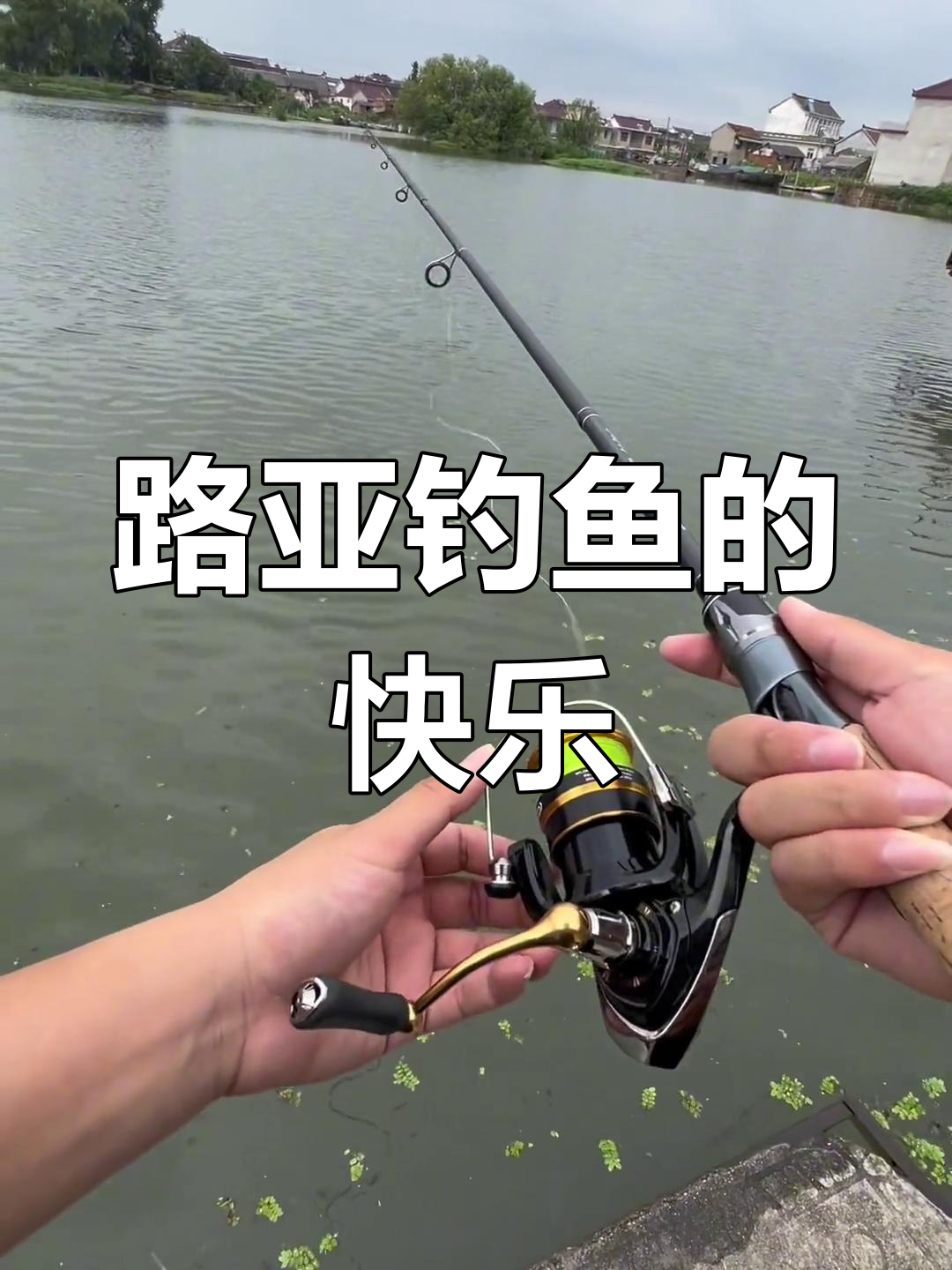 路亚全网挑战(路亚全网挑战视频教程)